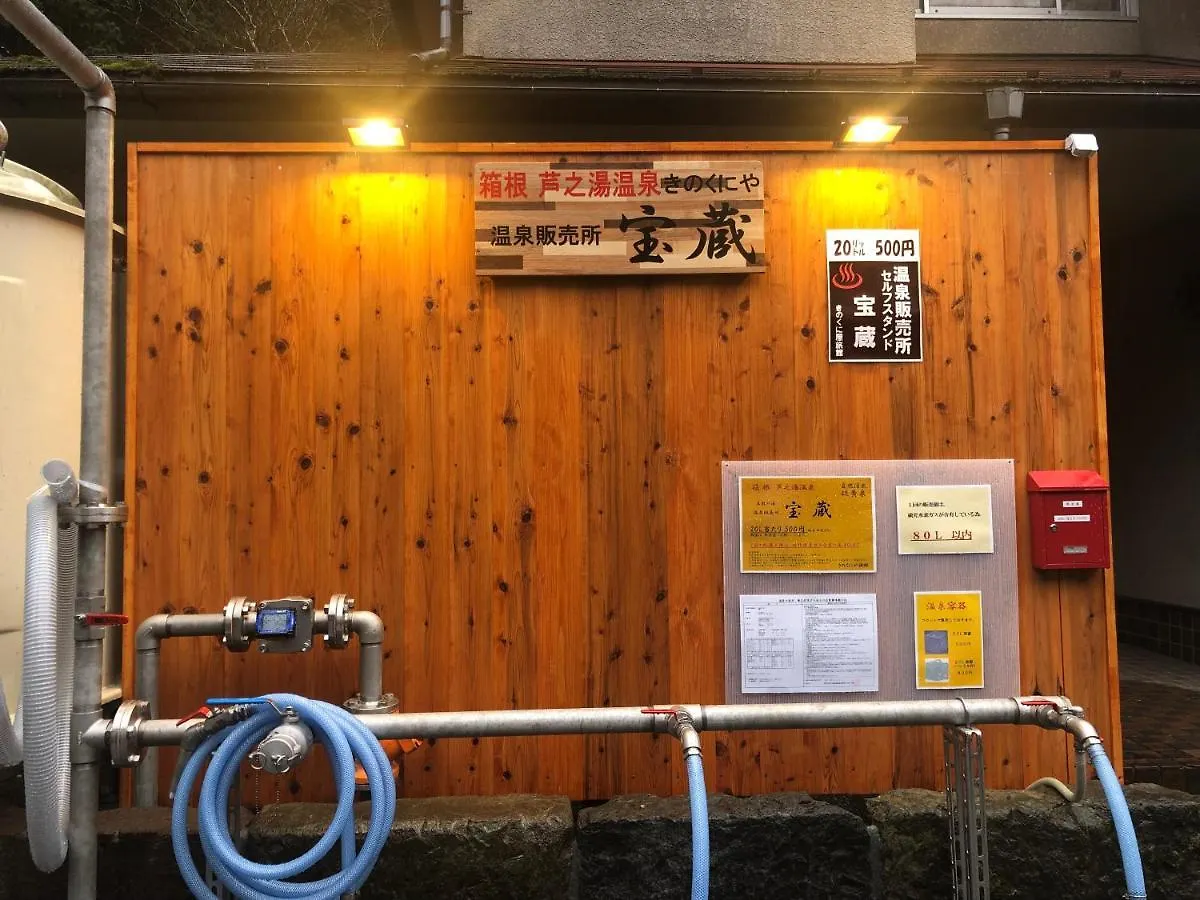 Kinokuniya Ryokan Hakone 3*,